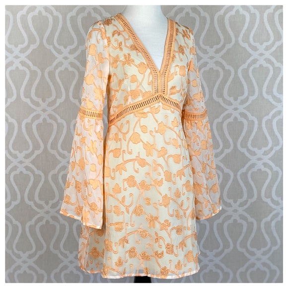 Kayla Peach Leaf Ivory Dress - Picture 4 of 9